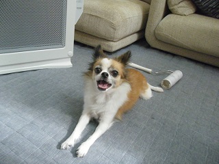 DSCF0037.JPG