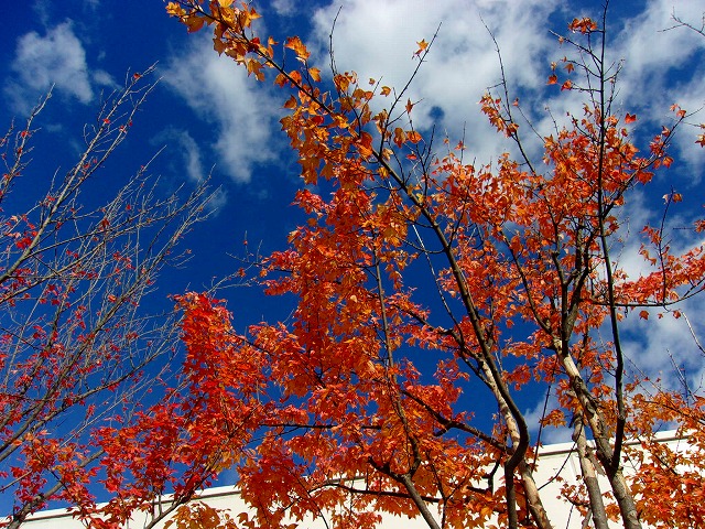 100_5224.jpg