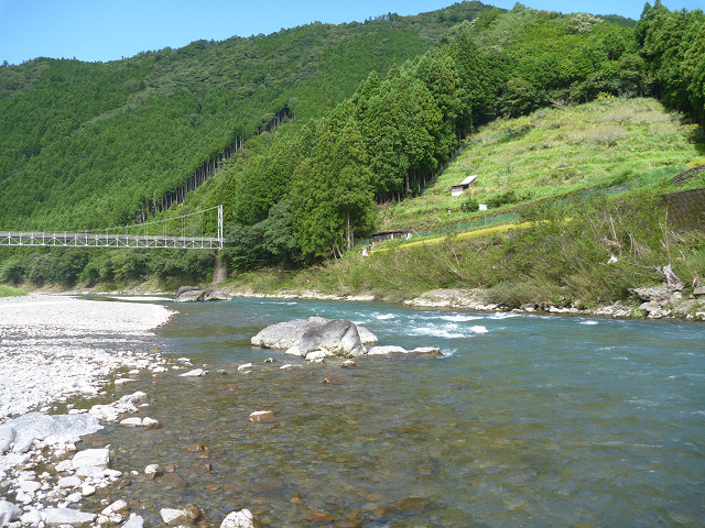 resize0009.jpg