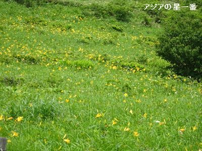 20160706 草津温泉 野反湖11