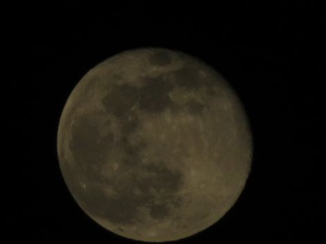 IMG_0775.JPG