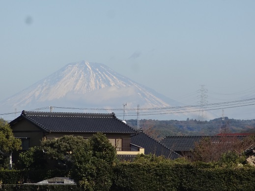 DSC02481.JPG