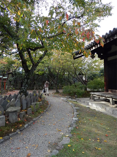 nara2012110411.jpg