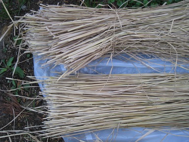 IMG_8608　縮小 - コピー.jpg