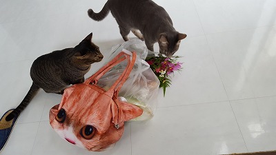20161011_104900.jpg