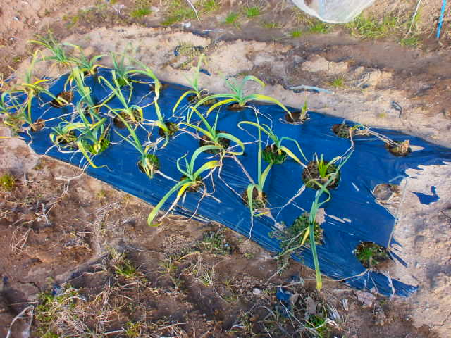 P2030205.JPG