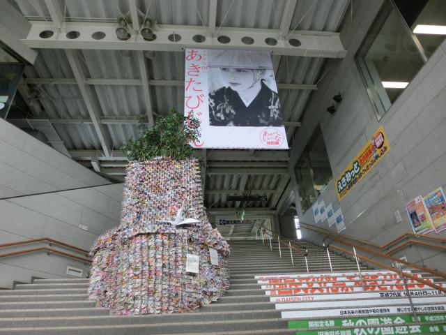 CIMG5264.jpg