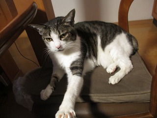 IMG_3957ss.jpg