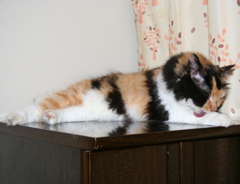 20131005ﾓﾓ02.jpg