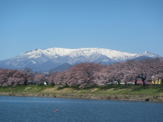 山B不忘～刈田.jpg