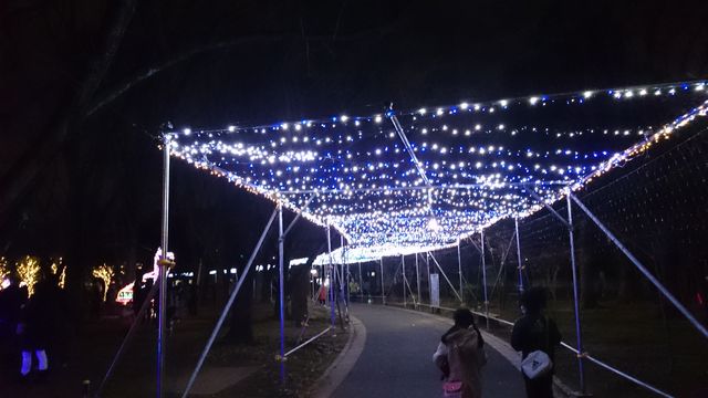 2015-12-20 18.28.39.jpg