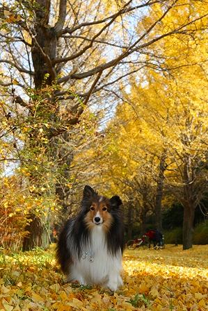 IMG_7426.jpg