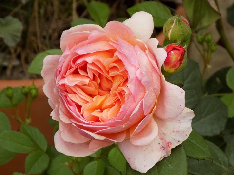 DSCN3169.JPG