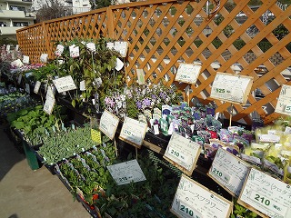 DSC00162.jpg