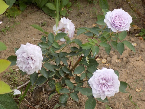 DSCN3582.JPG