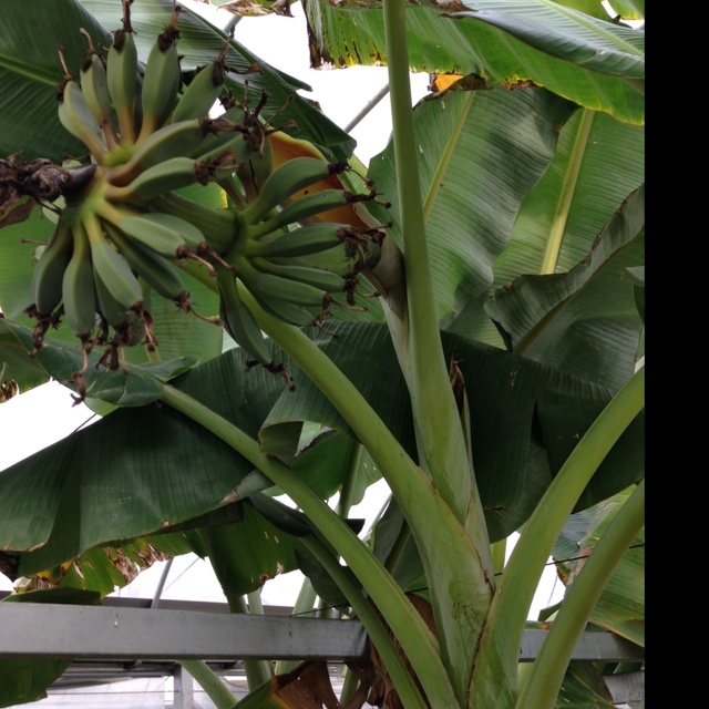 rblog-20140125172426-01.jpg