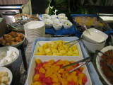 IMG_1529.jpg