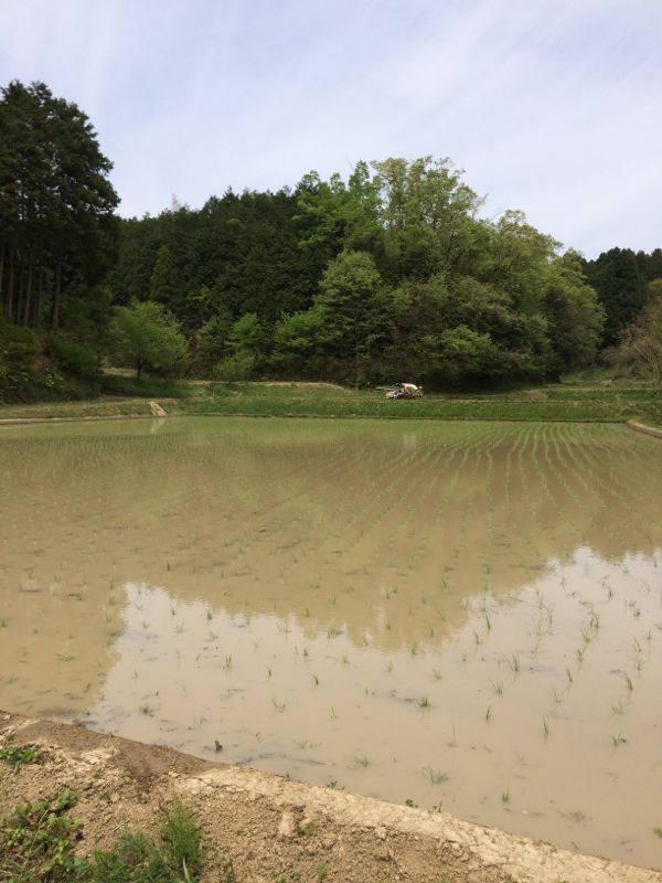 rblog-20140505124816-02.jpg