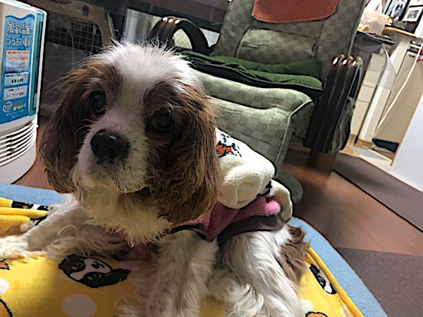 rblog-20180110220615-04.jpg