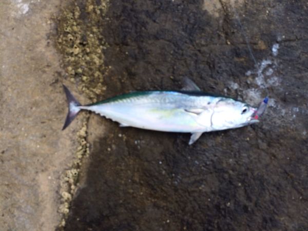 rblog-20140914103715-01.jpg