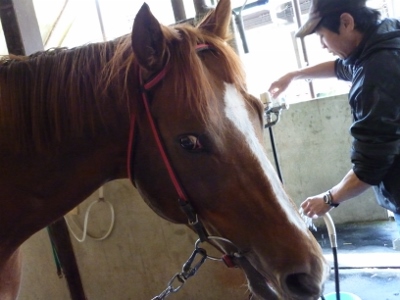 P1040459 (400x300).jpg