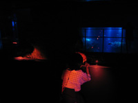 0804夜の水族館.jpg