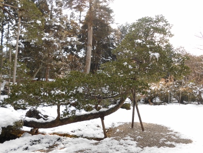 京都　曼殊院