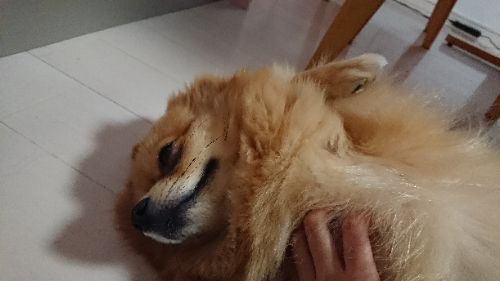 rblog-20181108100751-02.jpg