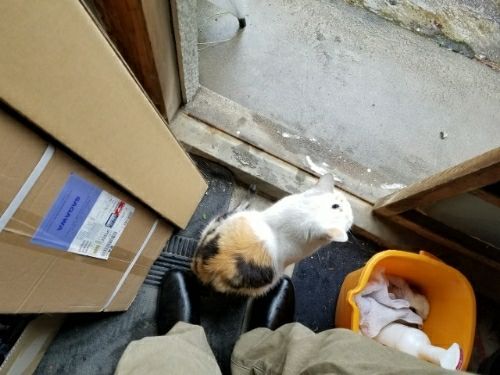 rblog-20180708005112-00.jpg