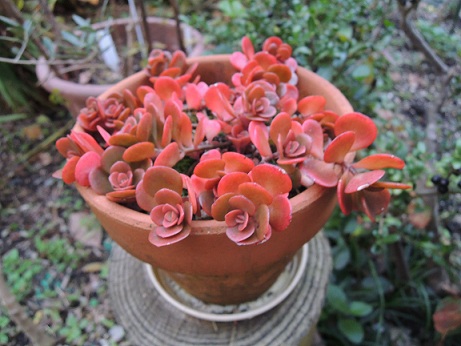 DSCN0927.JPG