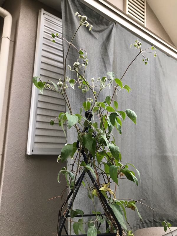 rblog-20190423182804-05.jpg