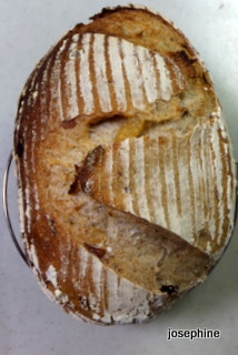 DSCF4810.JPG