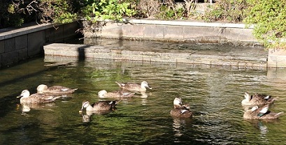 E7D_7134-2.jpg