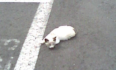 20120529090713.jpg