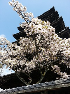 2015-04-09 14.04.32ss.jpg