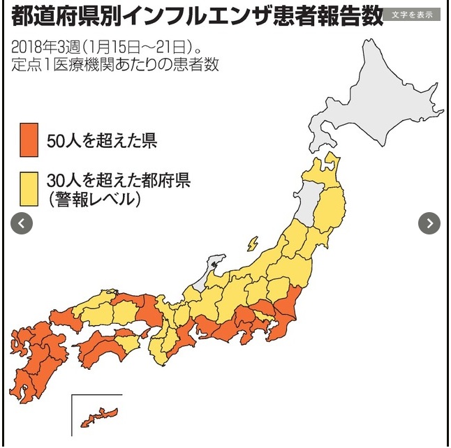 インフルエンザ2.jpg