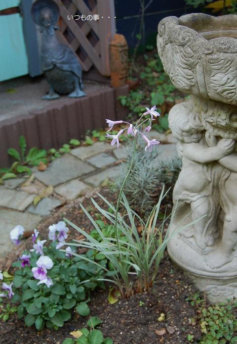DSC_0018.JPG