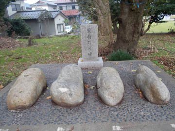 DSCN1632-13.JPG