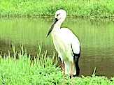 IMG_2664.JPG