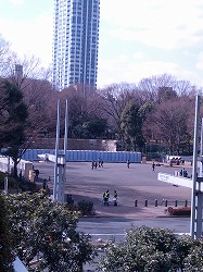 中央公園.jpg