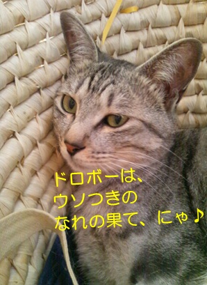 20120809_4.jpg