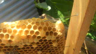 2013050813430000.jpg
