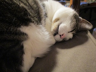 IMG_3916ss.jpg