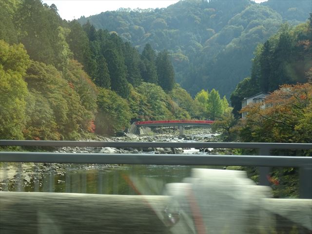 DSC06433_R.JPG