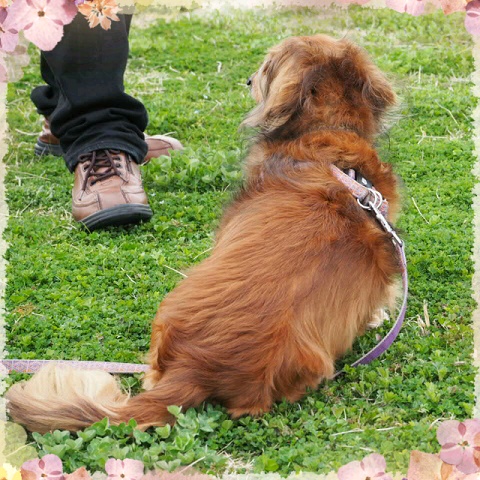 CUNPIC_20150321_175419.jpg