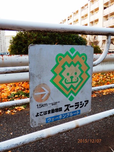 PC070907b20151207.jpg