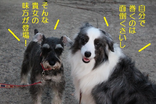 登場