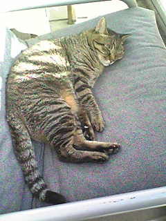 Image292~04.jpg