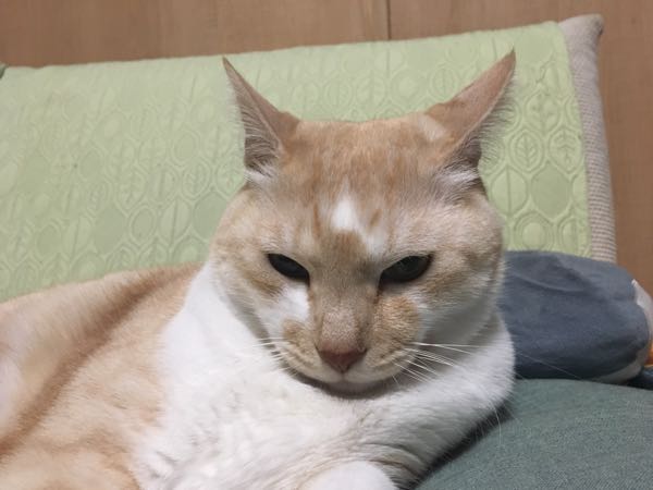 rblog-20190102215100-03.jpg
