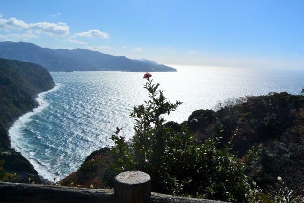 西伊豆ドライブ